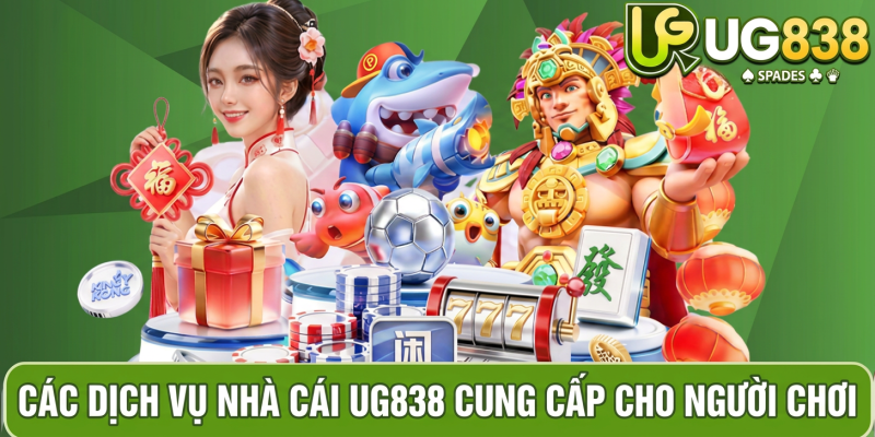 Hình ảnh dịch vụ chuyên nghiệp