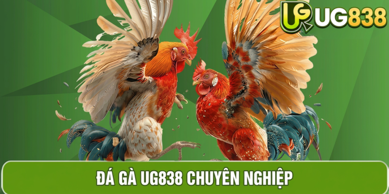 Hình ảnh sản phẩm đá gà