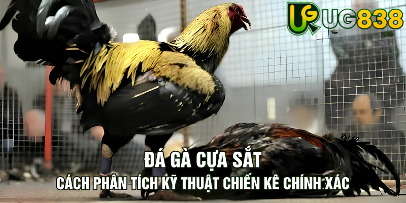 Tin tức