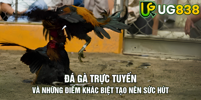 Tin tức